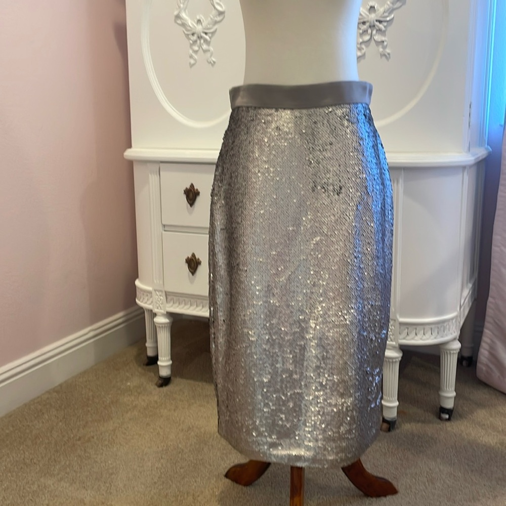 Banana republic sequin skirt